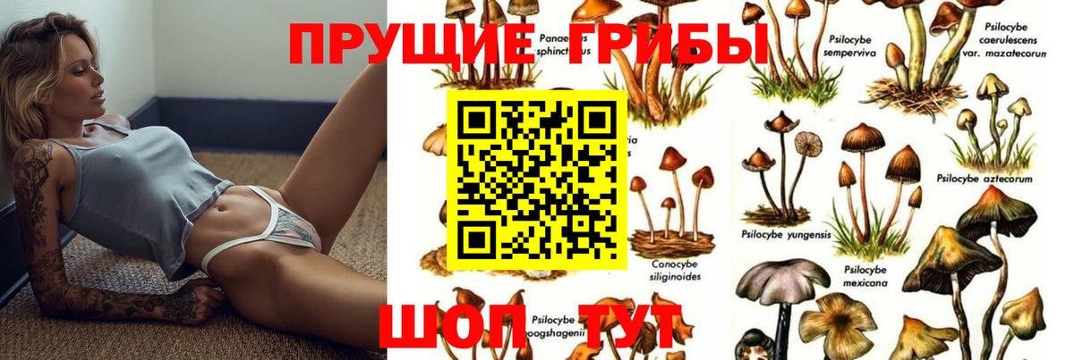 Псилоцибиновые грибы ЛСД Анжеро-Судженск